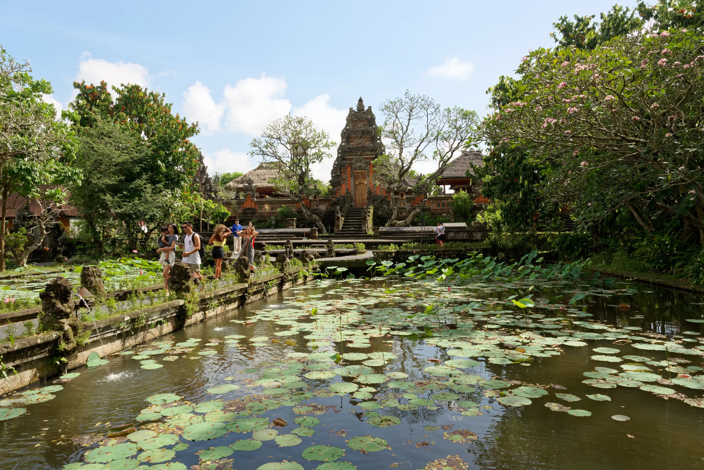 The lotus pond in front of Taman Saraswati temple in Ubud