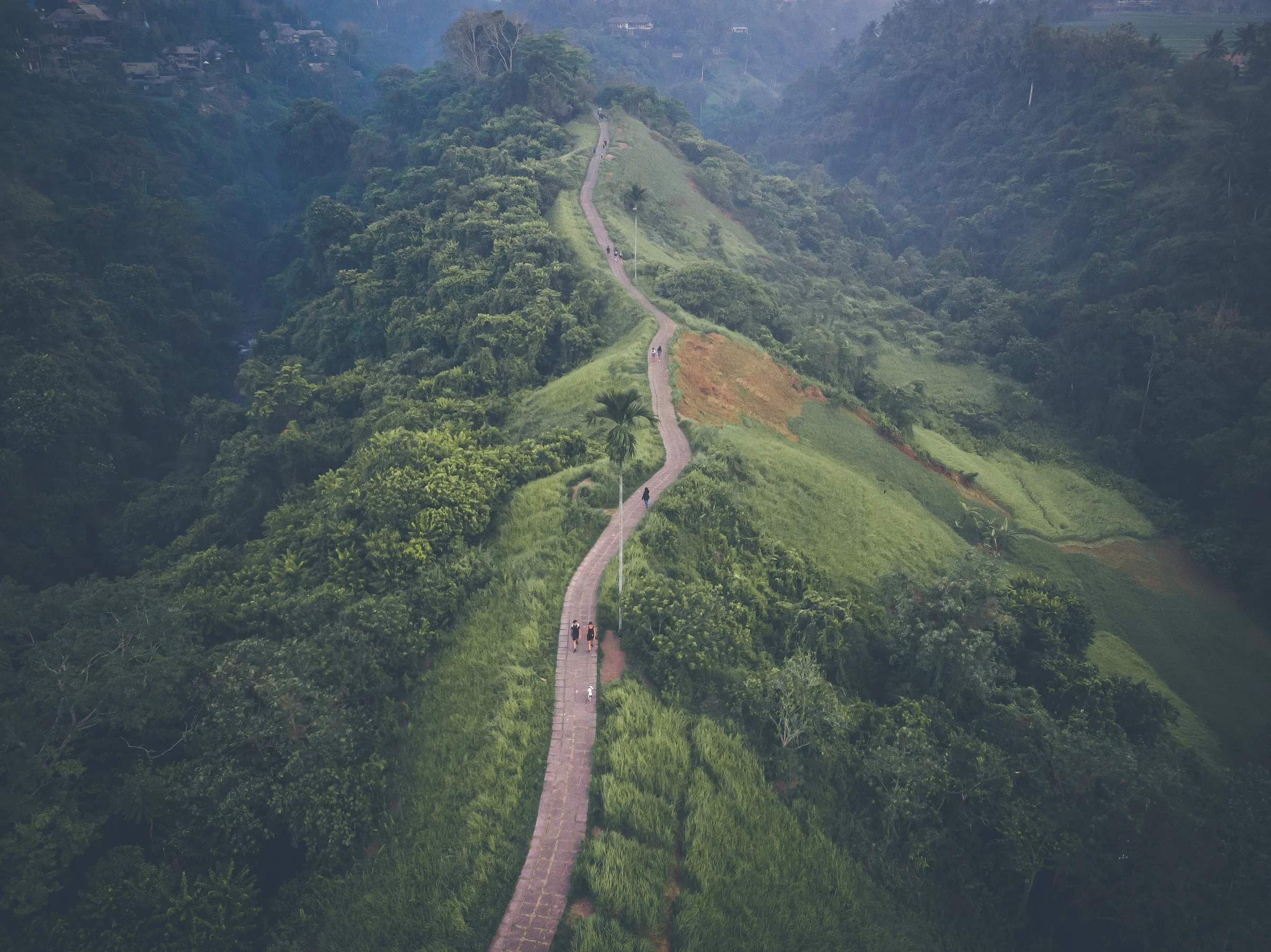 Aerial view of the Campuhan Ridge Walk, a paved path along a green ridge between forested valleys in Ubud