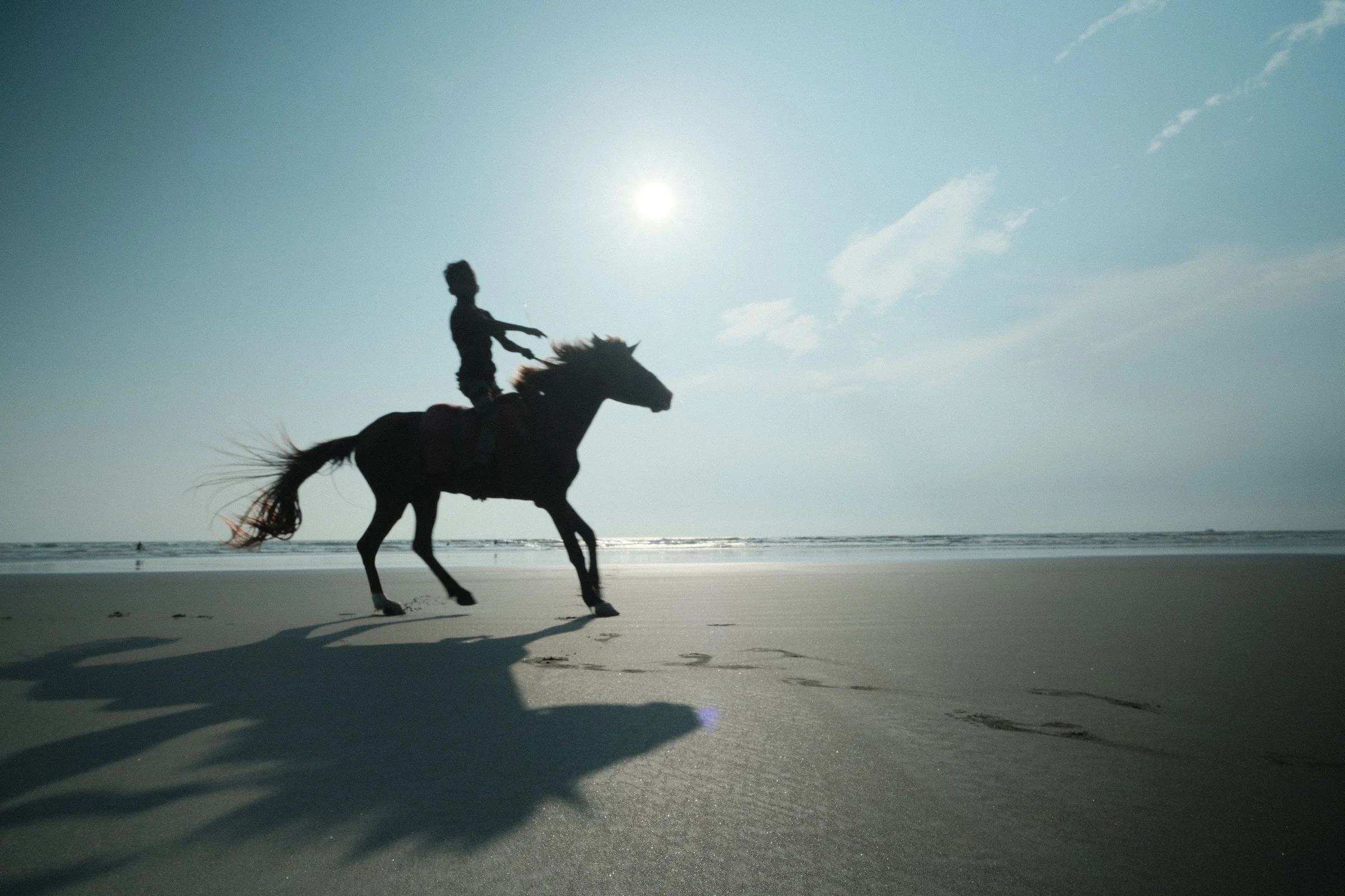 A rider and horse in silhouette on a sunlit beach