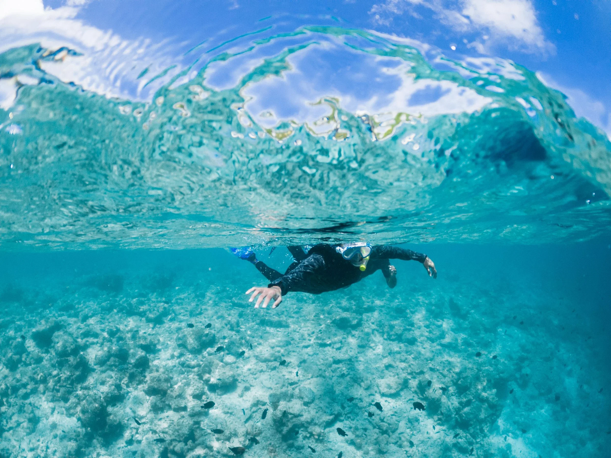 A snorkeller seen from behind, gliding over a sandy reef in clear turquoise water