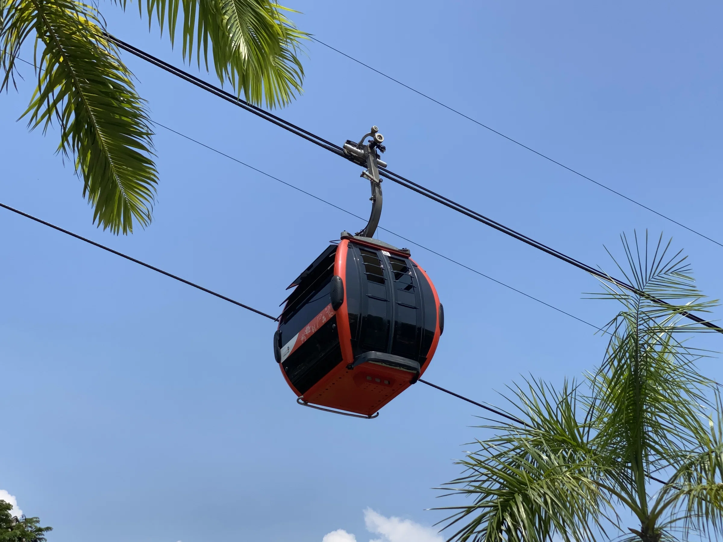 A red cabin of the Singapore Cable Car gliding between palm trees against a blue sky on Sentosa