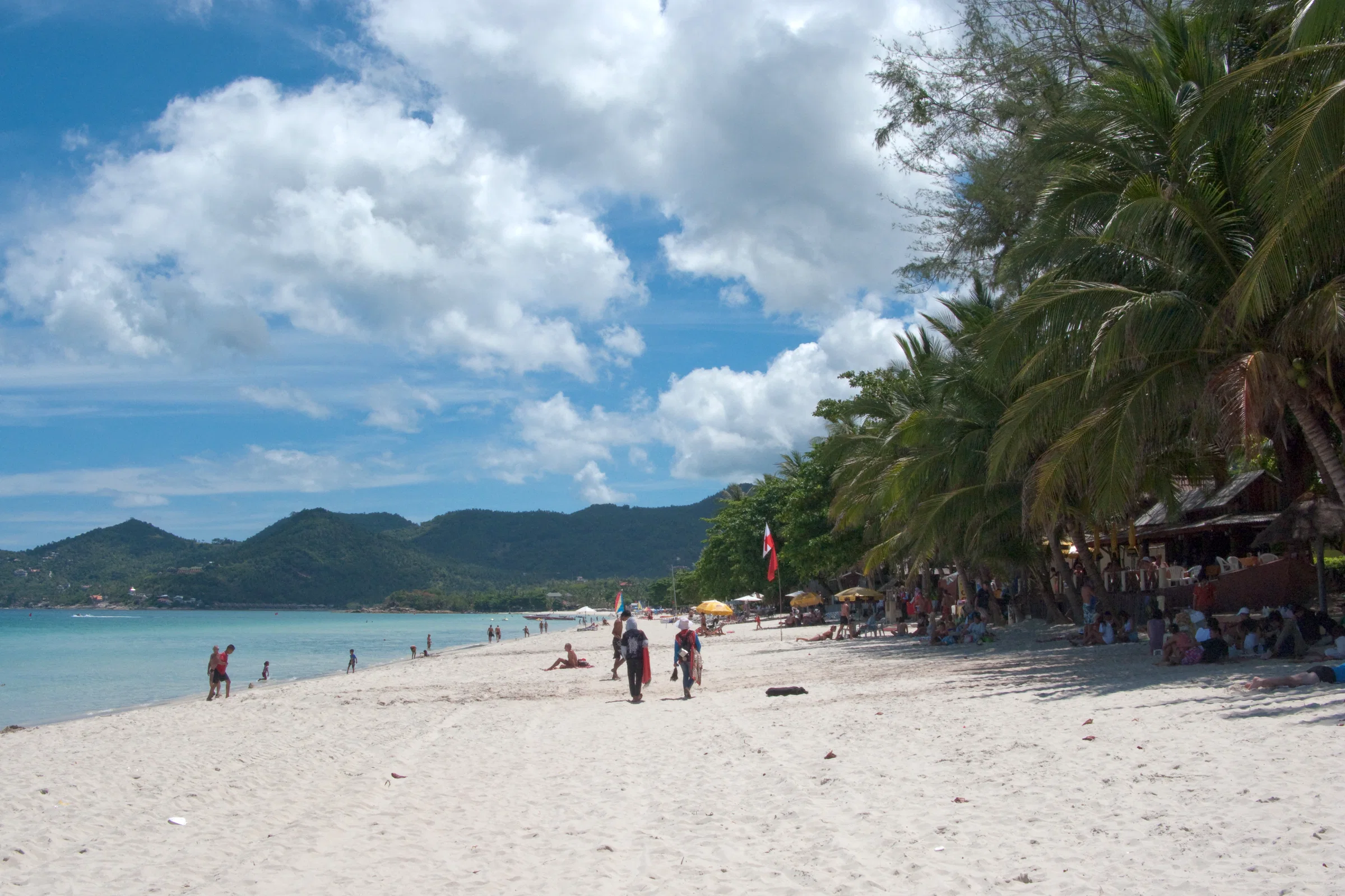 Palm-lined beach and turquoise sea on Koh Samui