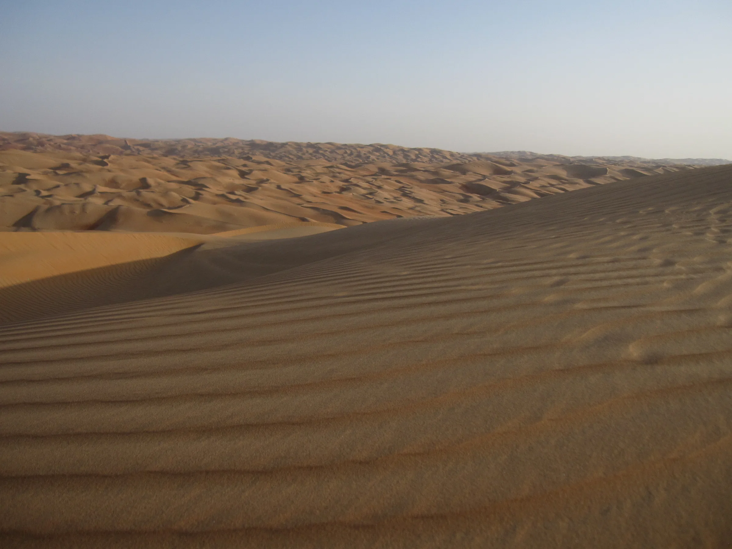Rippled sand dunes of the Liwa desert at the edge of the Empty Quarter