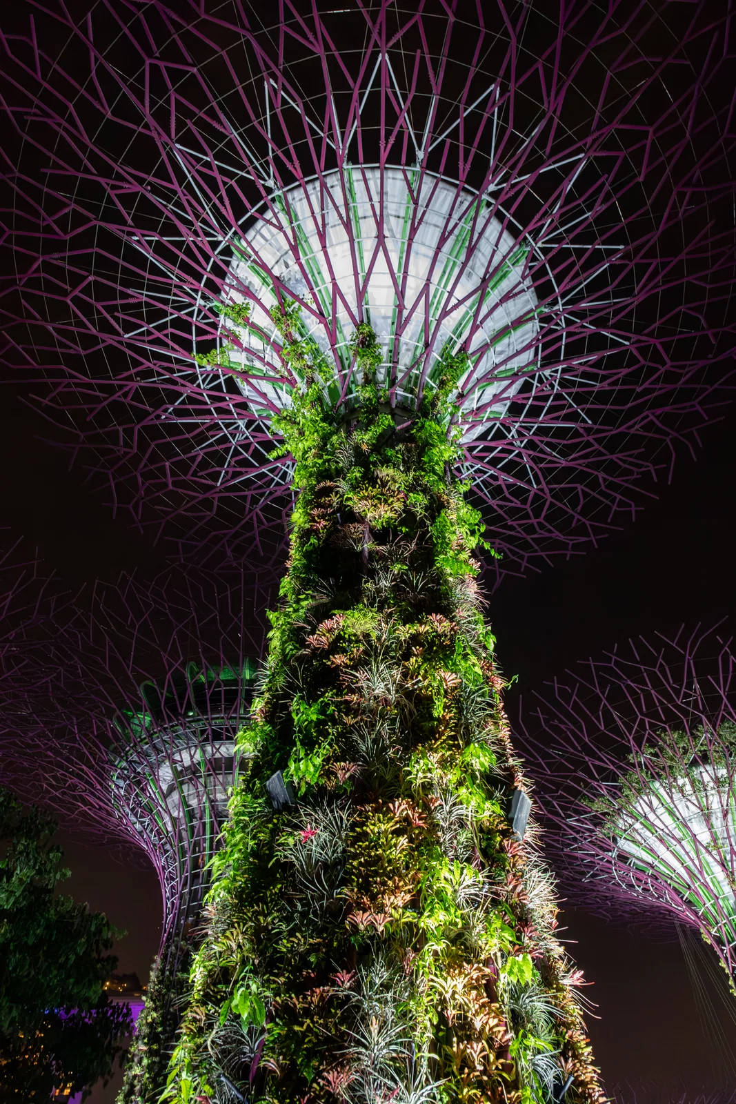 The towers of Singapore's Central Business District lit at night and reflected in Marina Bay, with the Fullerton Hotel at the waterline